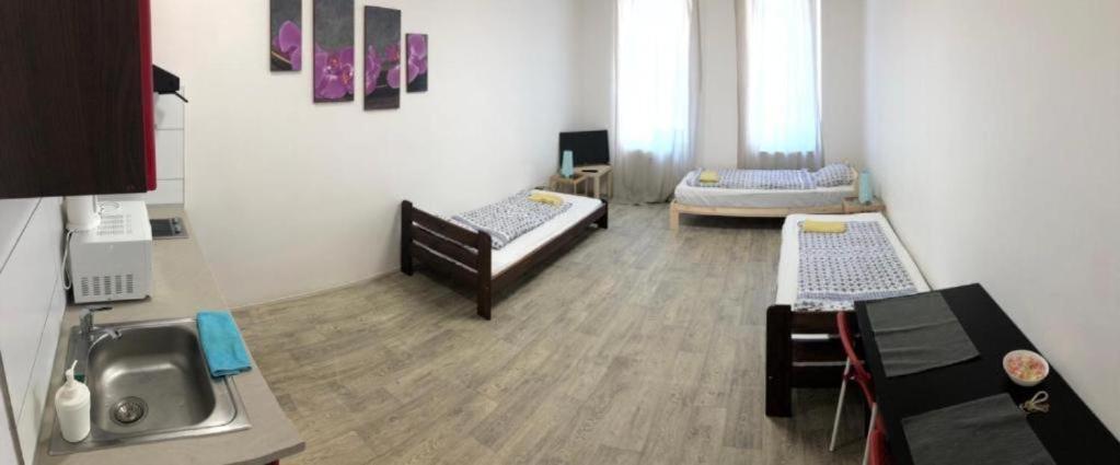Apartments Near The Center With Privat Parking Brno Buitenkant foto