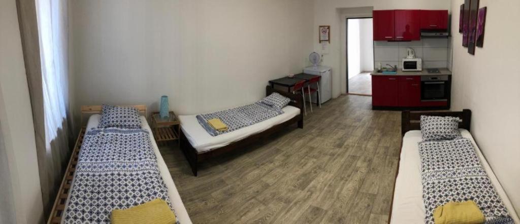 Apartments Near The Center With Privat Parking Brno Buitenkant foto