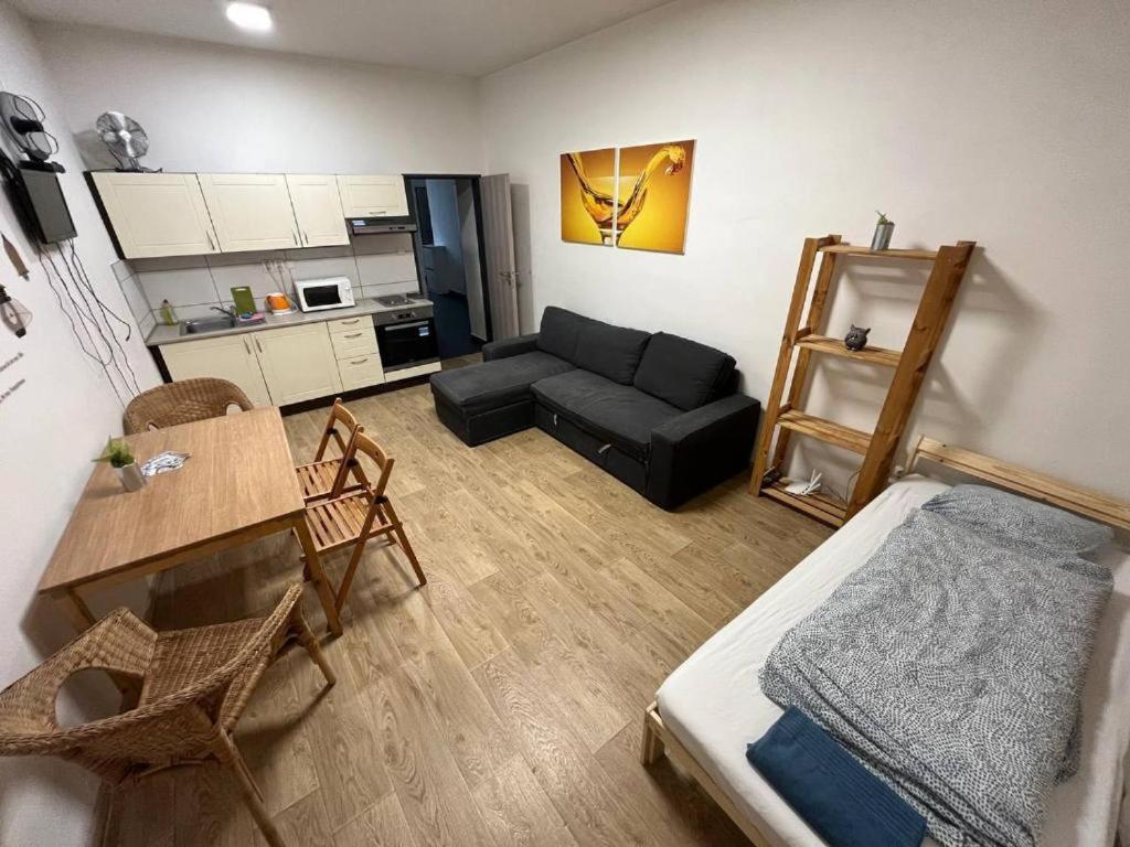 Apartments Near The Center With Privat Parking Brno Buitenkant foto