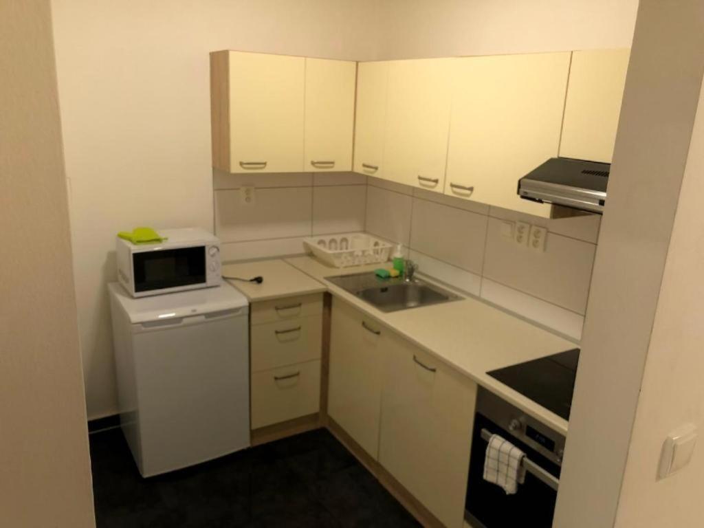 Apartments Near The Center With Privat Parking Brno Buitenkant foto